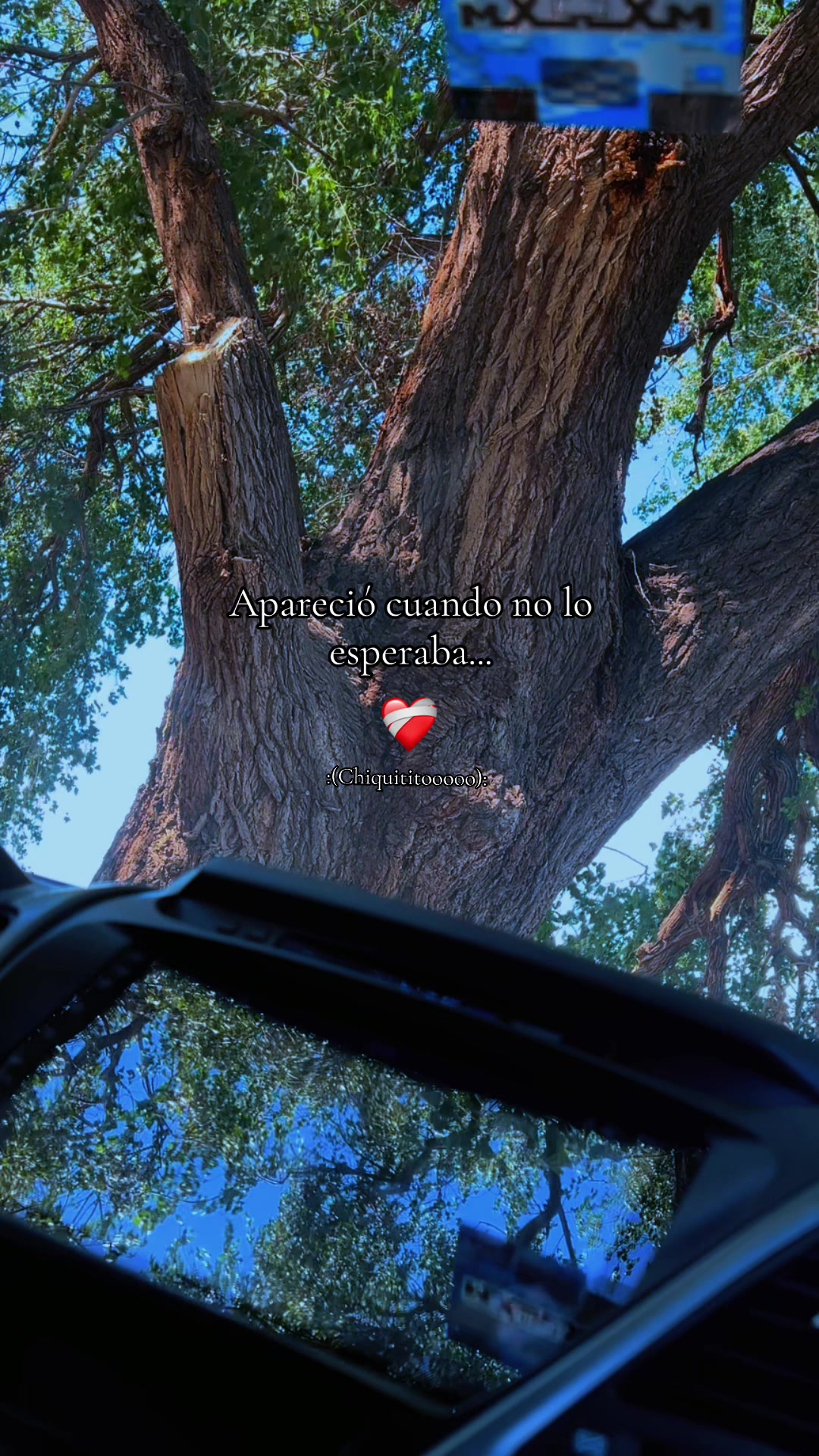 @🫧🌻>ᗰƳᖇᎥᗩᗰ <🌻🫧
