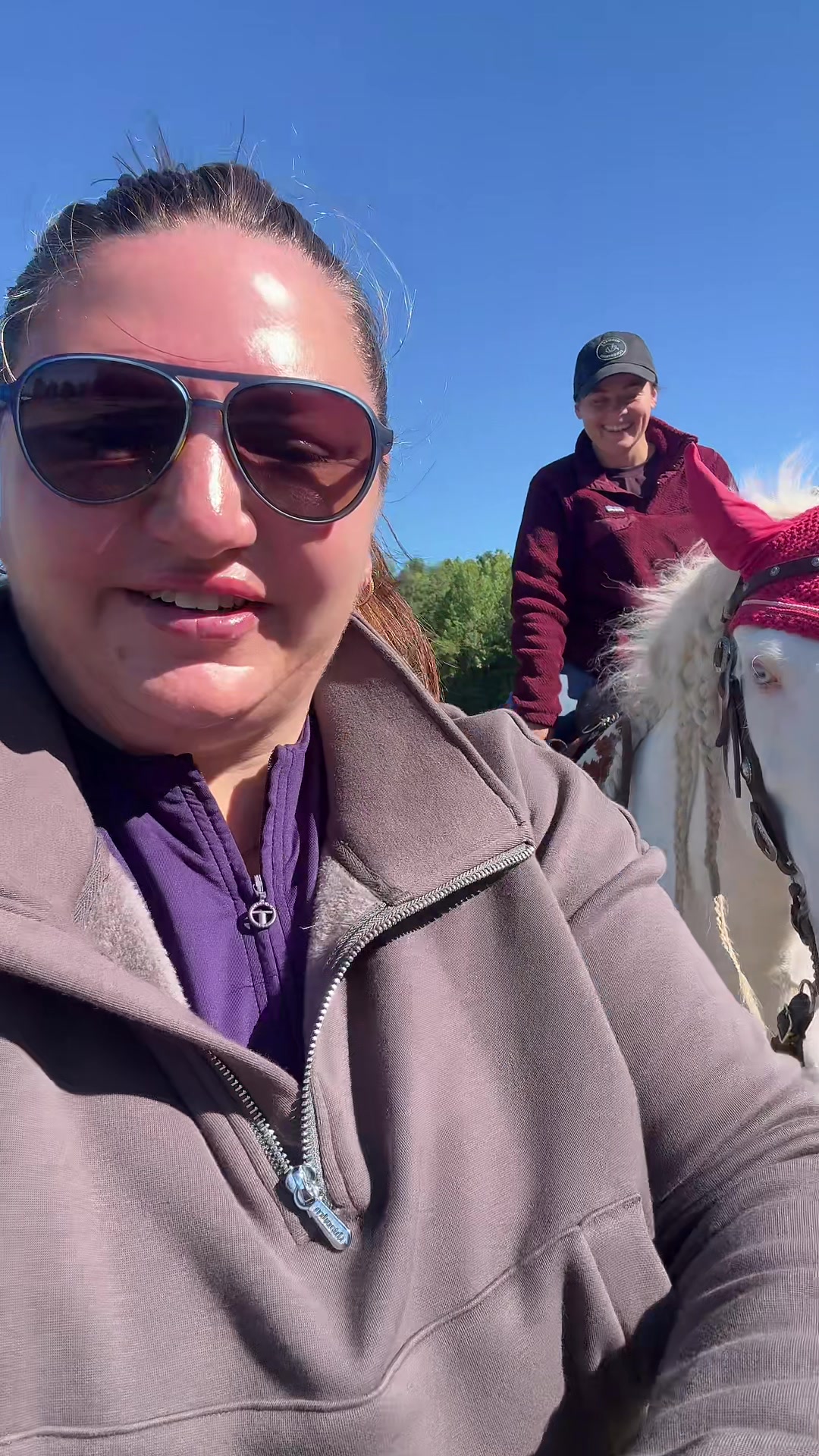 @MindsetEquestrian