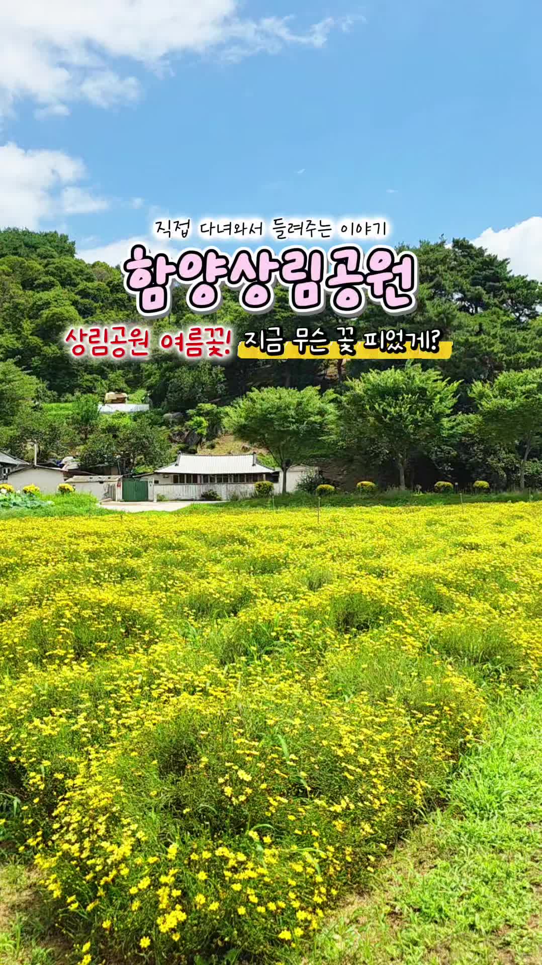 @ON로드 여행기
