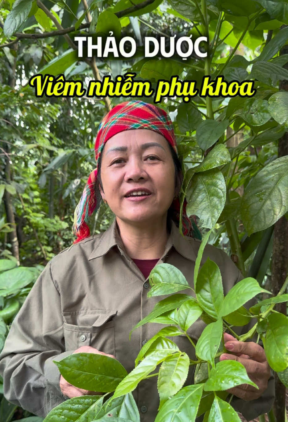 @Cô Sinh Thảo dược Cao Lan