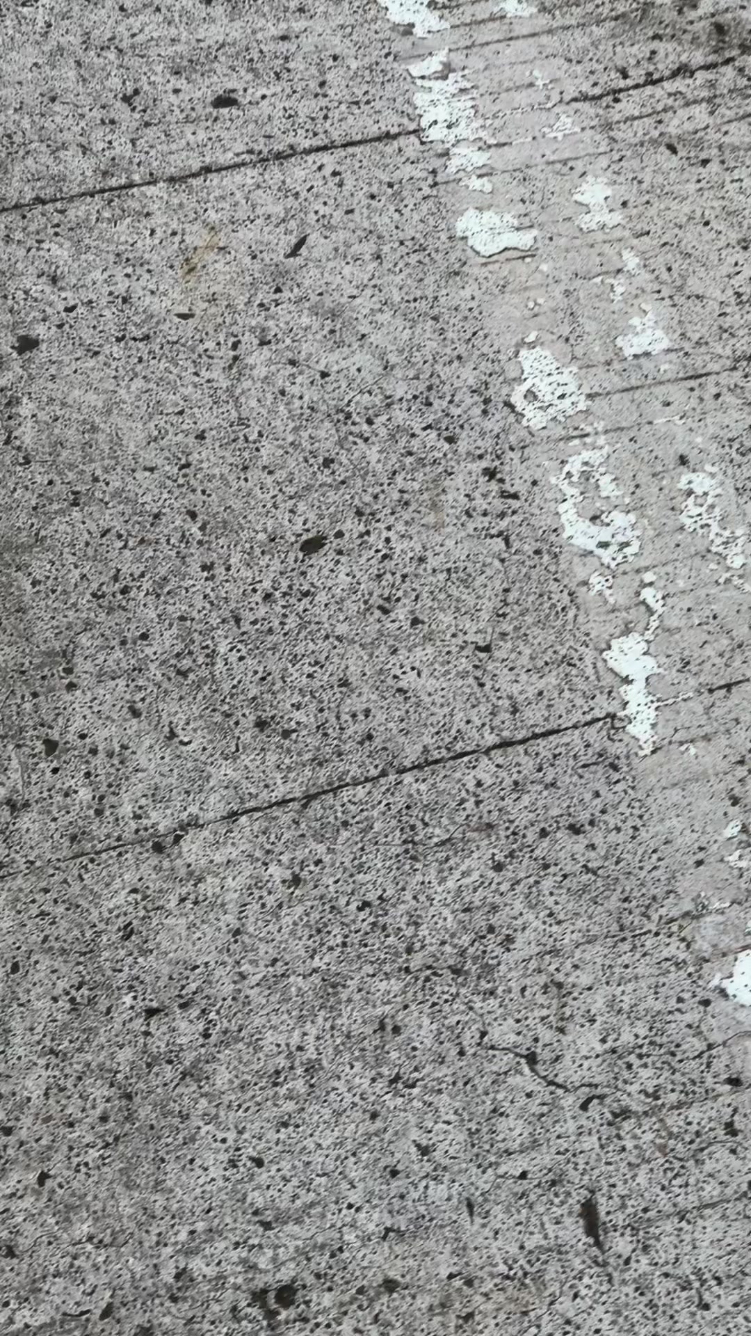 @𝙕𝟯𝙉𝙄𝙓
