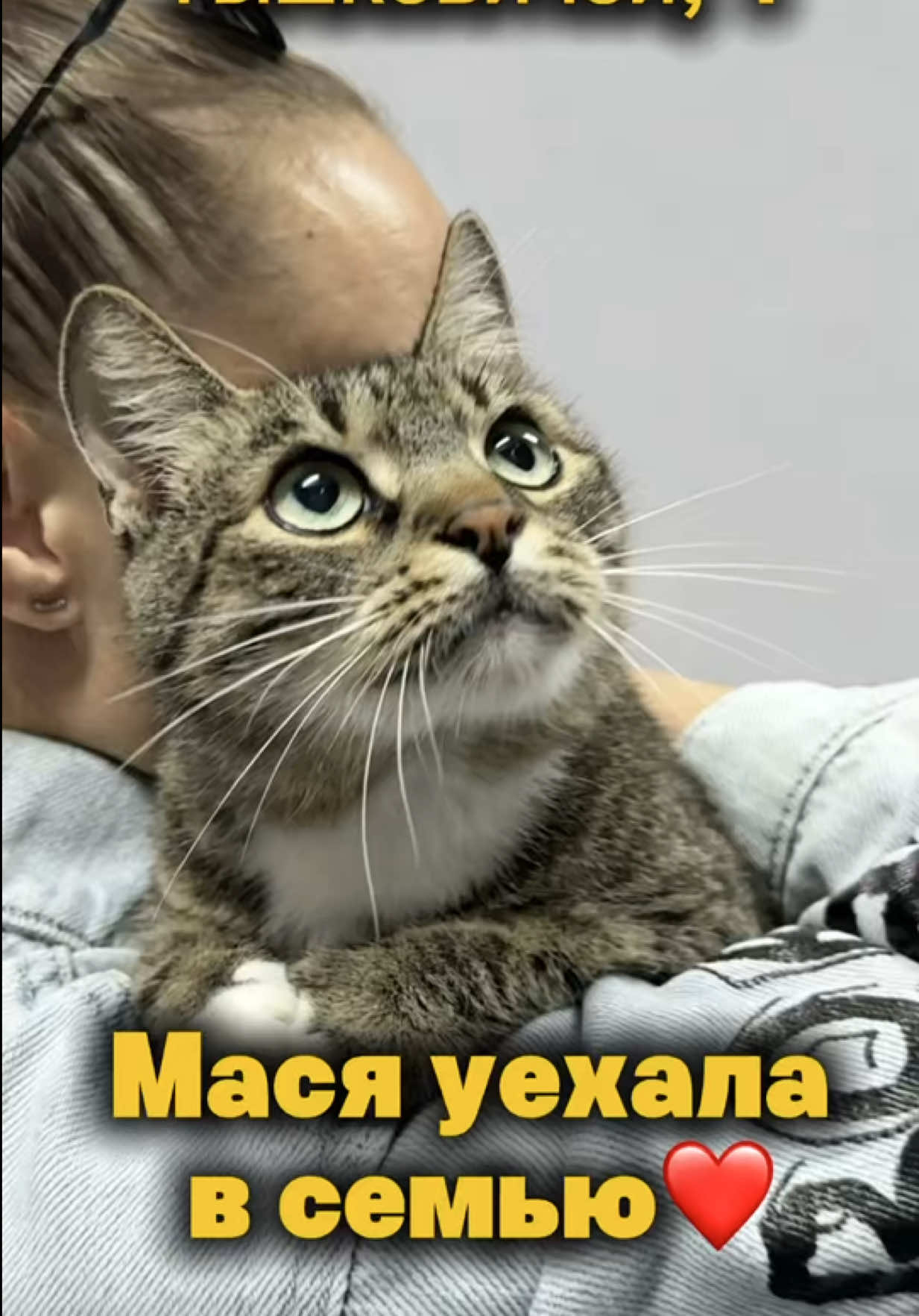 @help_animals_belarus