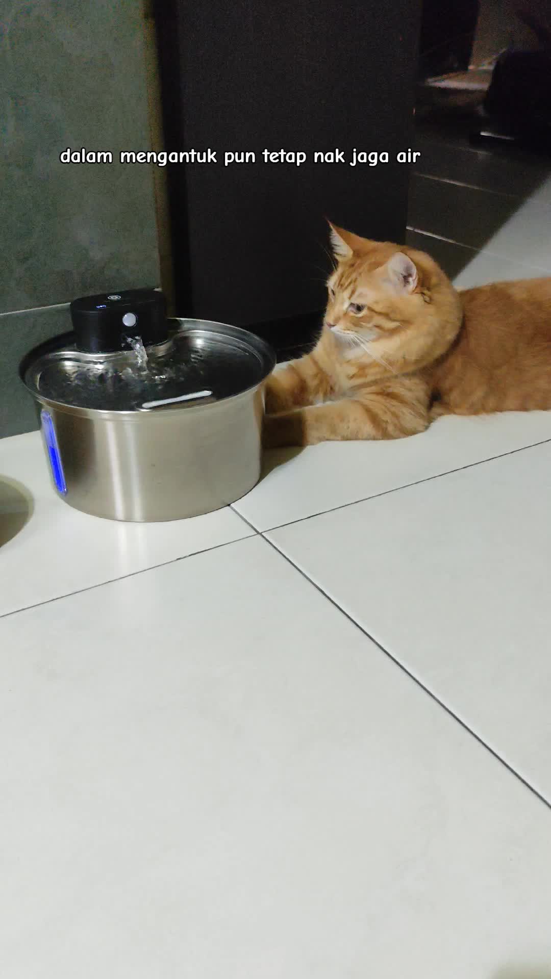 @Omma Kucing 🇲🇾🍉
