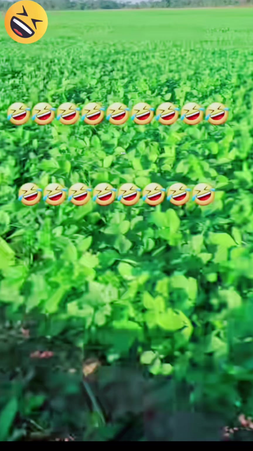@🍀🦂MADAI06🇳🇮🇨🇷💫🦁🇲🇽💫