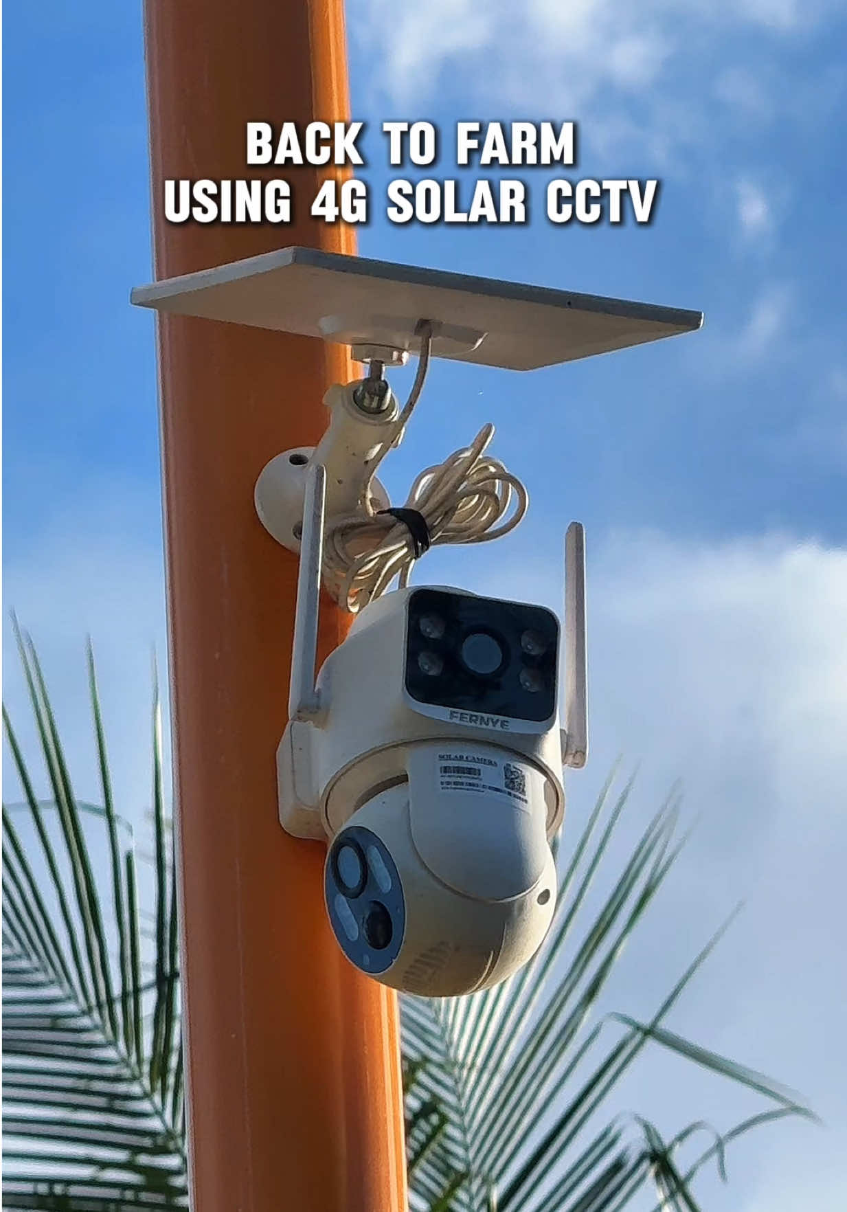 @Daily Guides TV