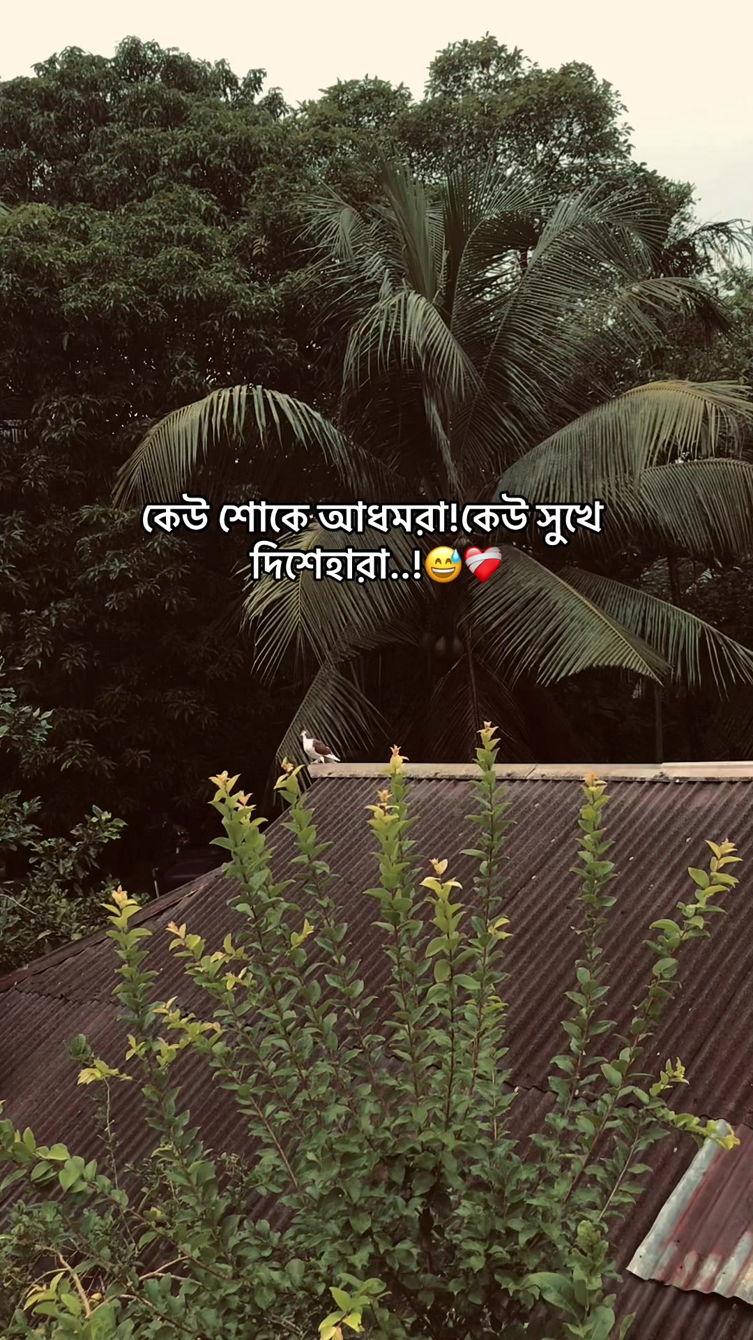 @the_spydoo🕸️ 🥏