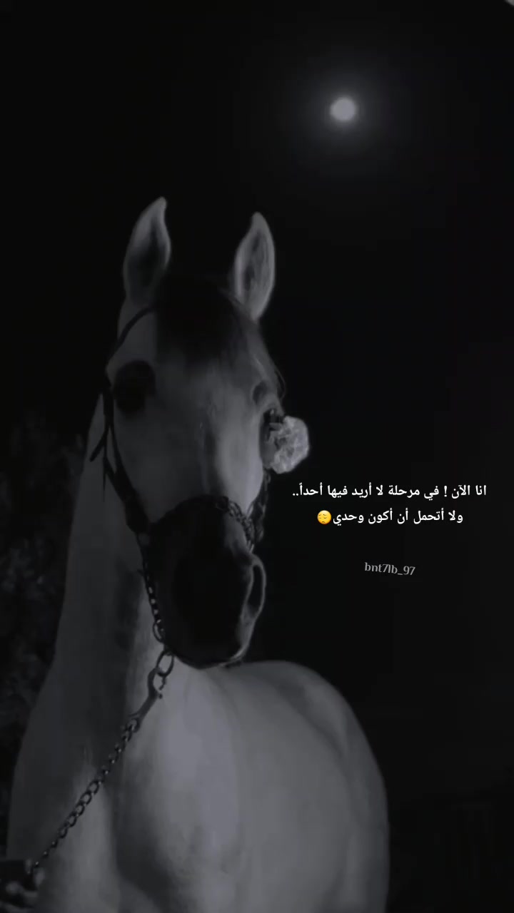 @سہمہوٌ آلمہلكهہᥫ᭡
