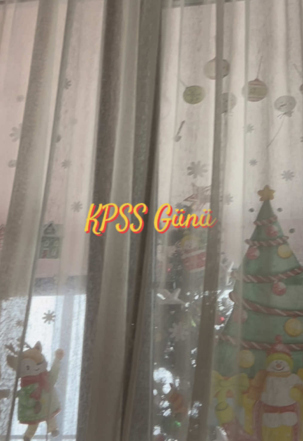 @asmreldaa