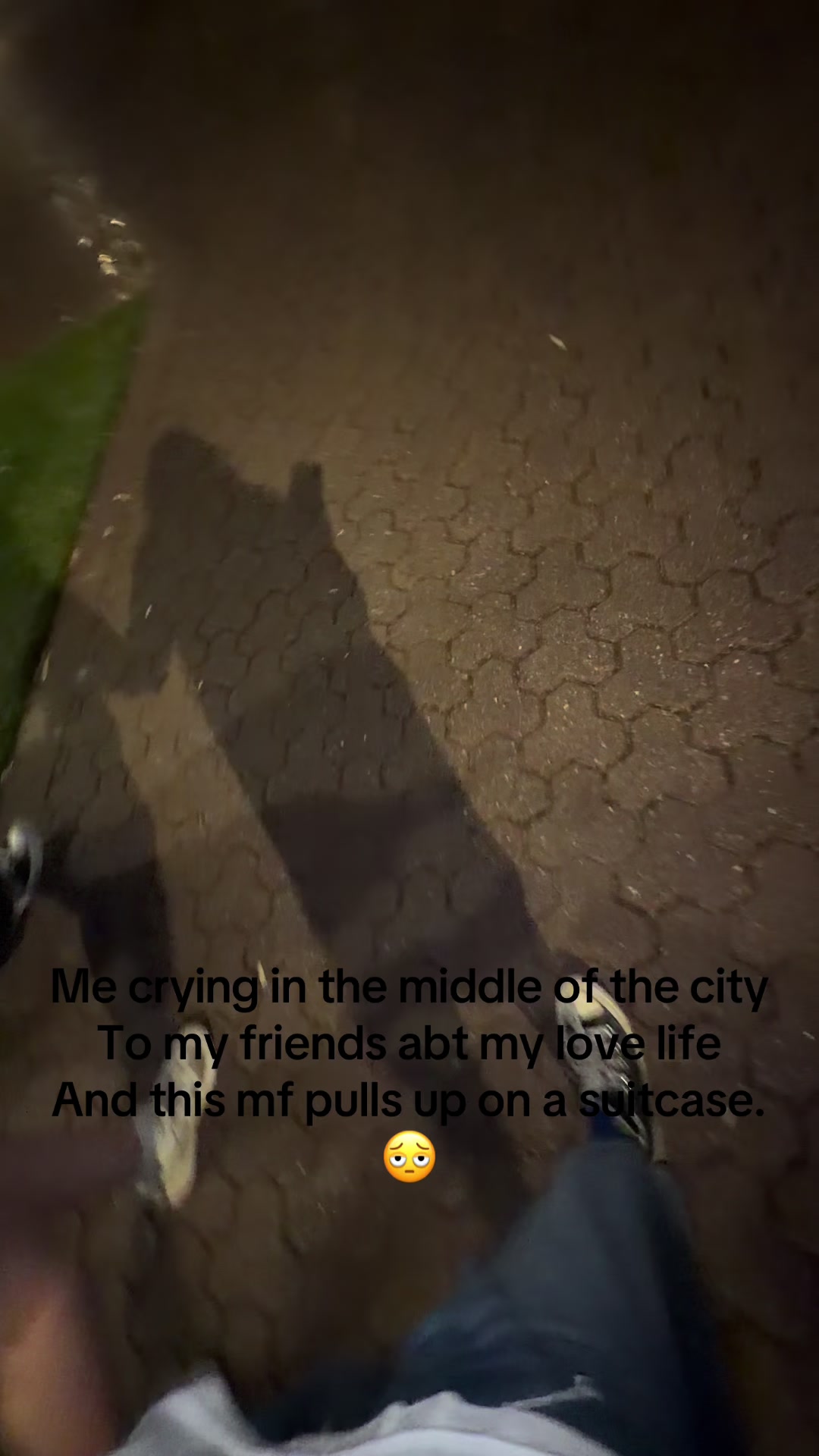 @🦑🐇˚꩜｡Fₗₑₐ ˚꩜｡🦑🐇