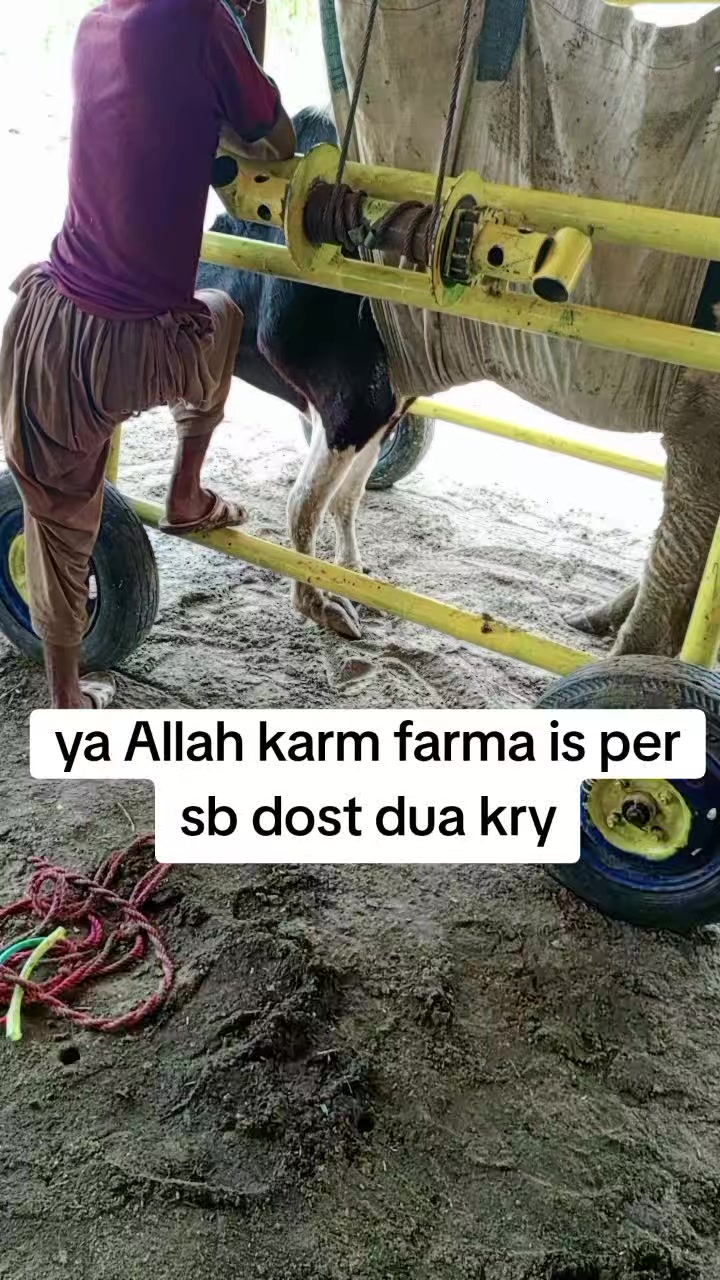 @Miandairyfarm