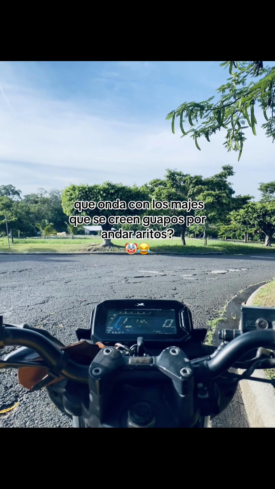 @ sv.brixn_11