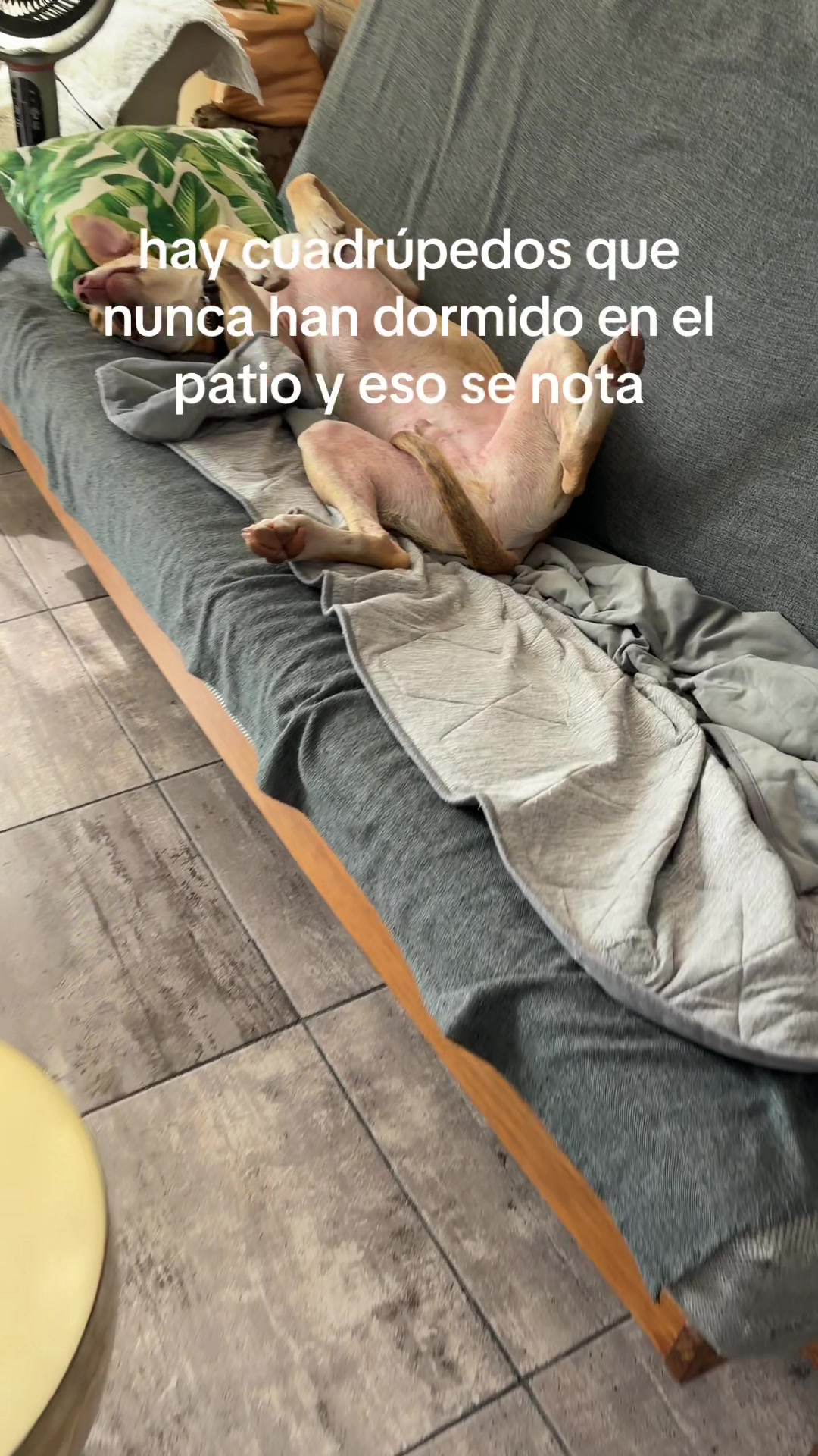 @brujo