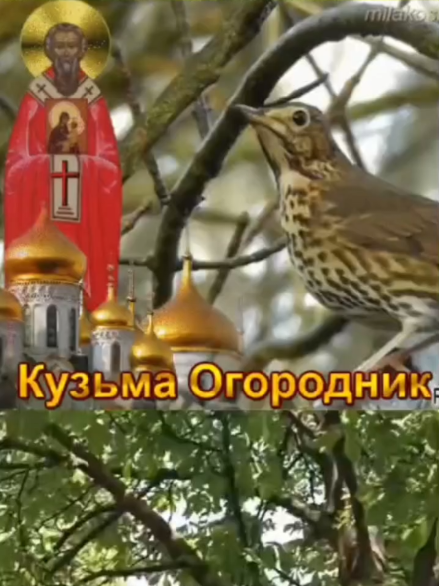 @Светлана(✿◠‿◠)
