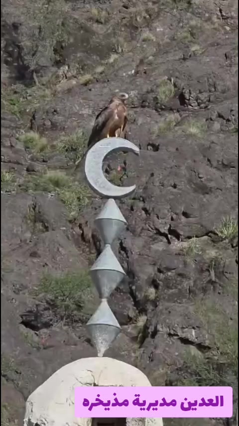 @سونيا 𝕊𝕆ℕ𝕀𝔸