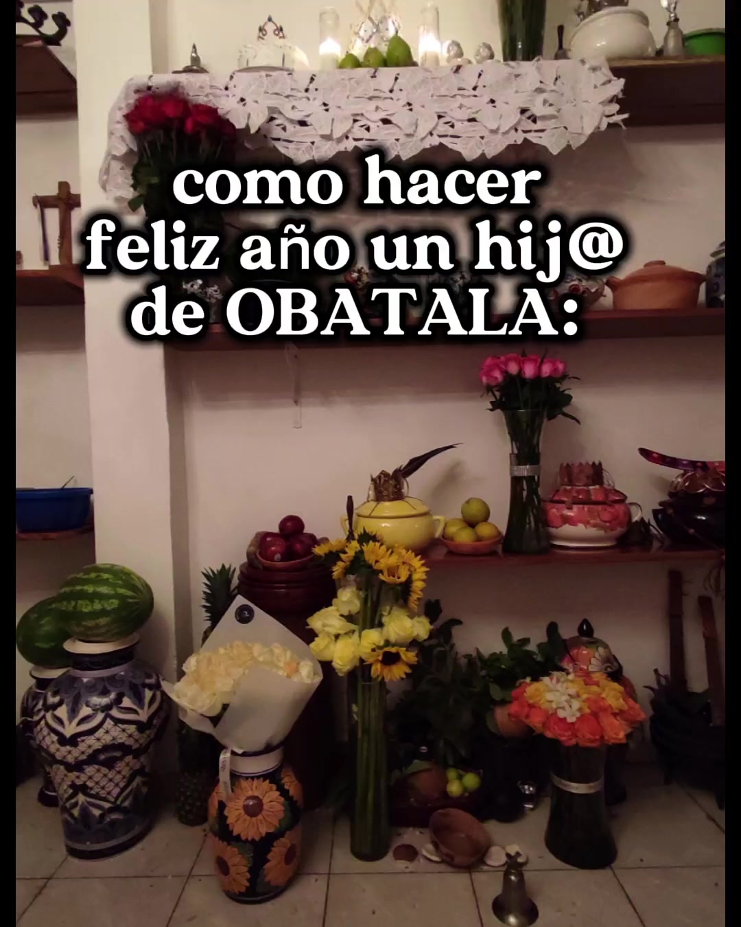 @akokan_odara