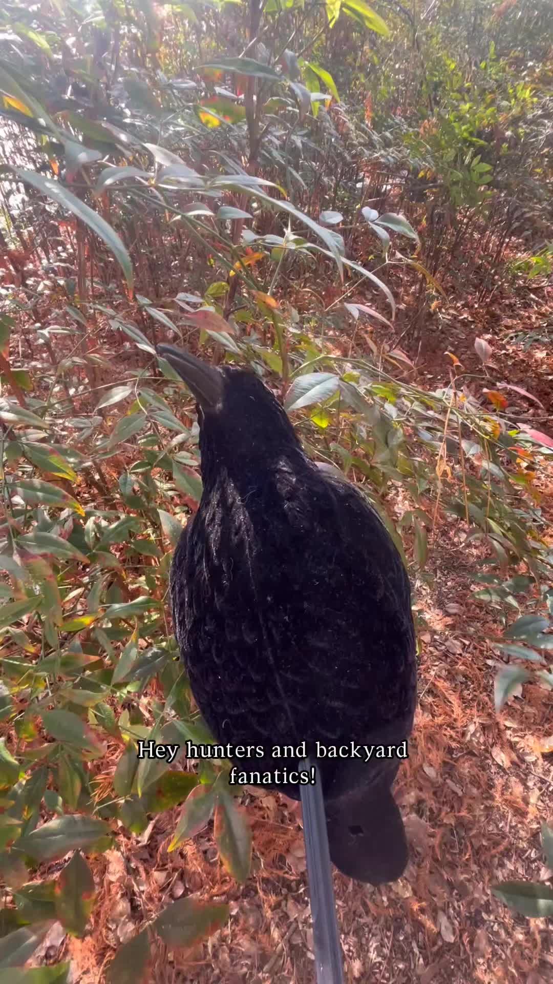 @dddeerhunt