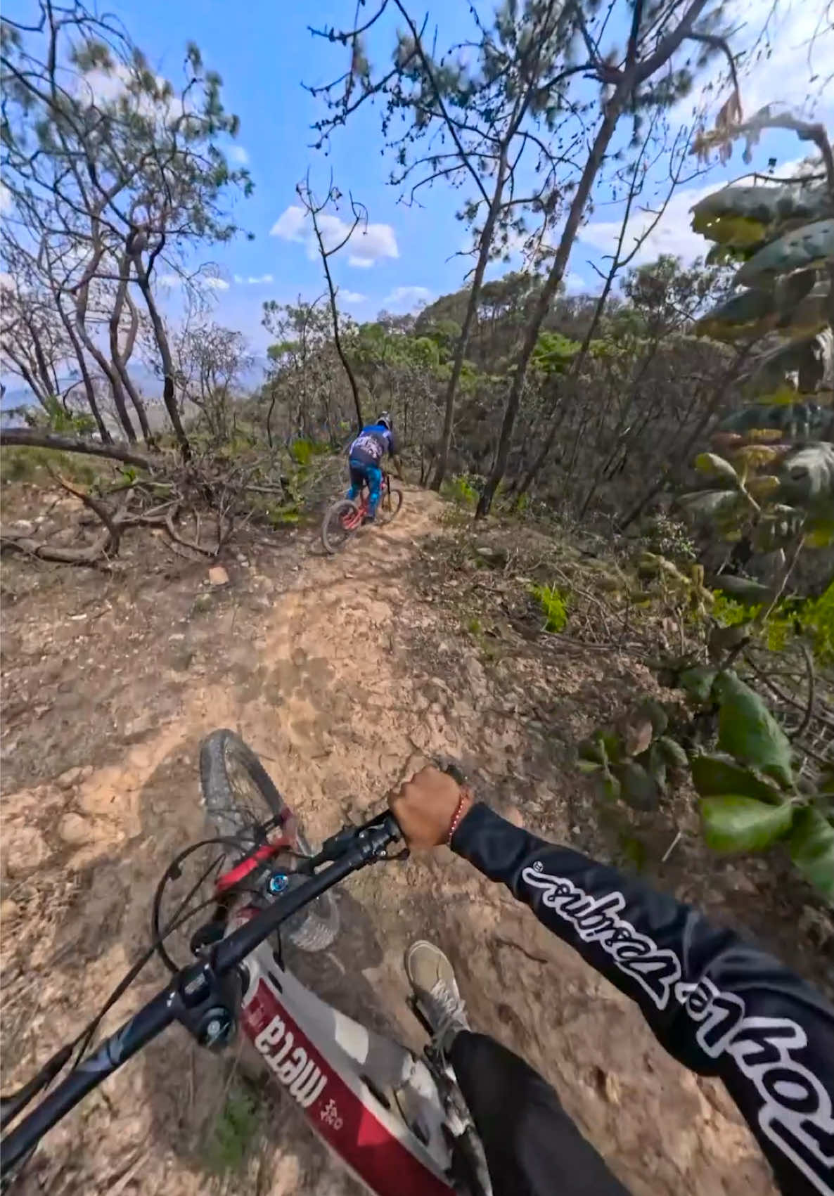 @Sebas Sotelo 🚵🏽 📽️