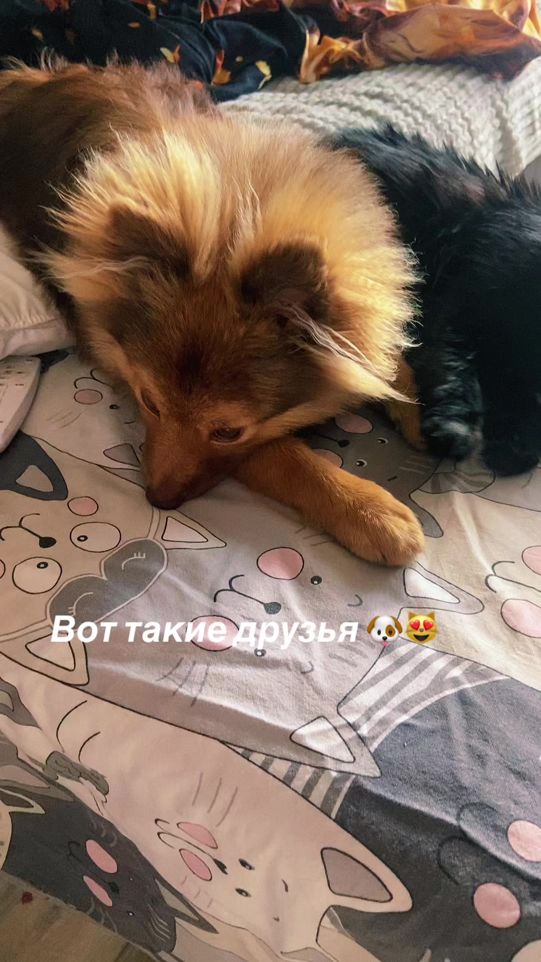 @Natali