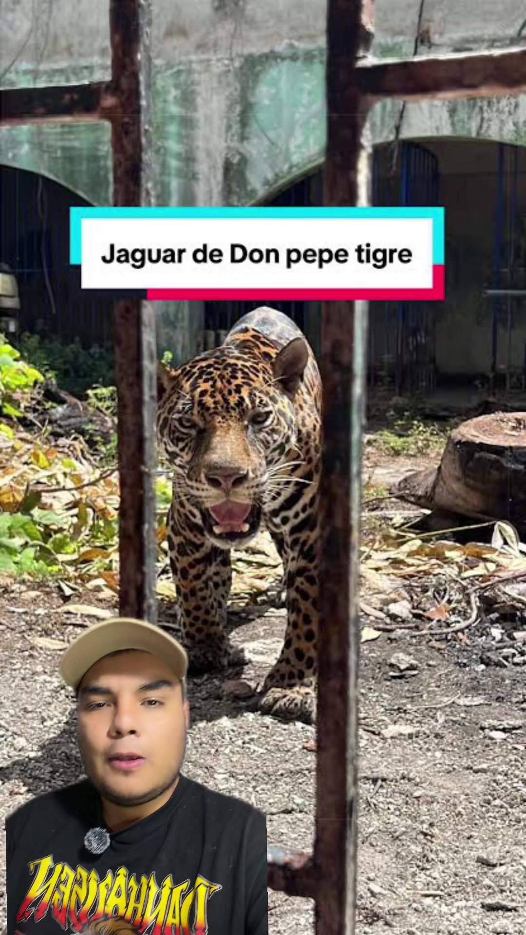 @Jair Herrera 🐆