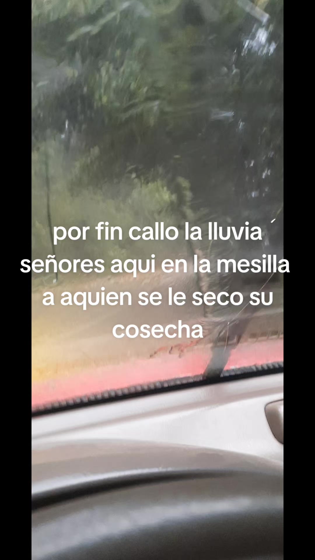 @EL PADRINO 502🇱🇷 ☘️🫡🇬🇹