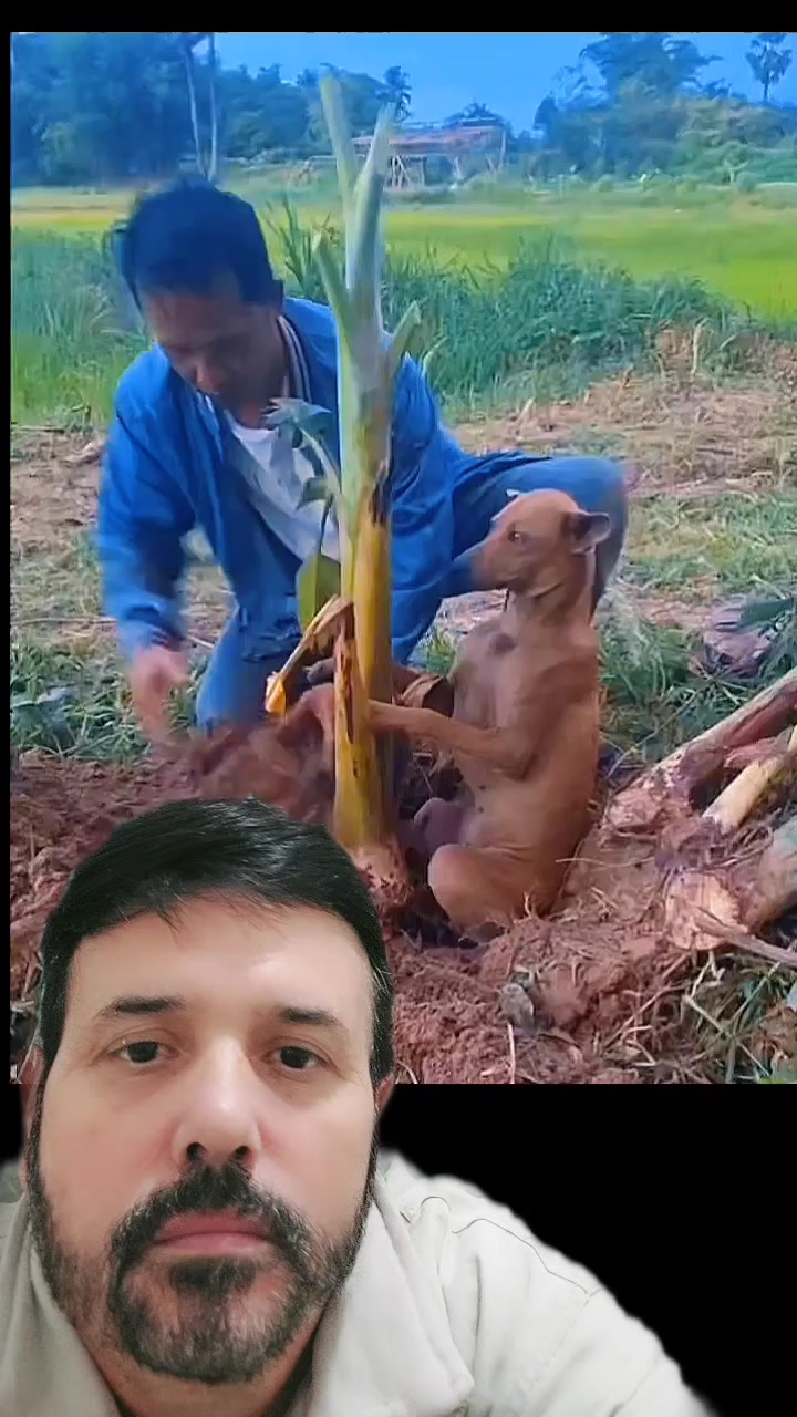 @vidio Pedro 2026