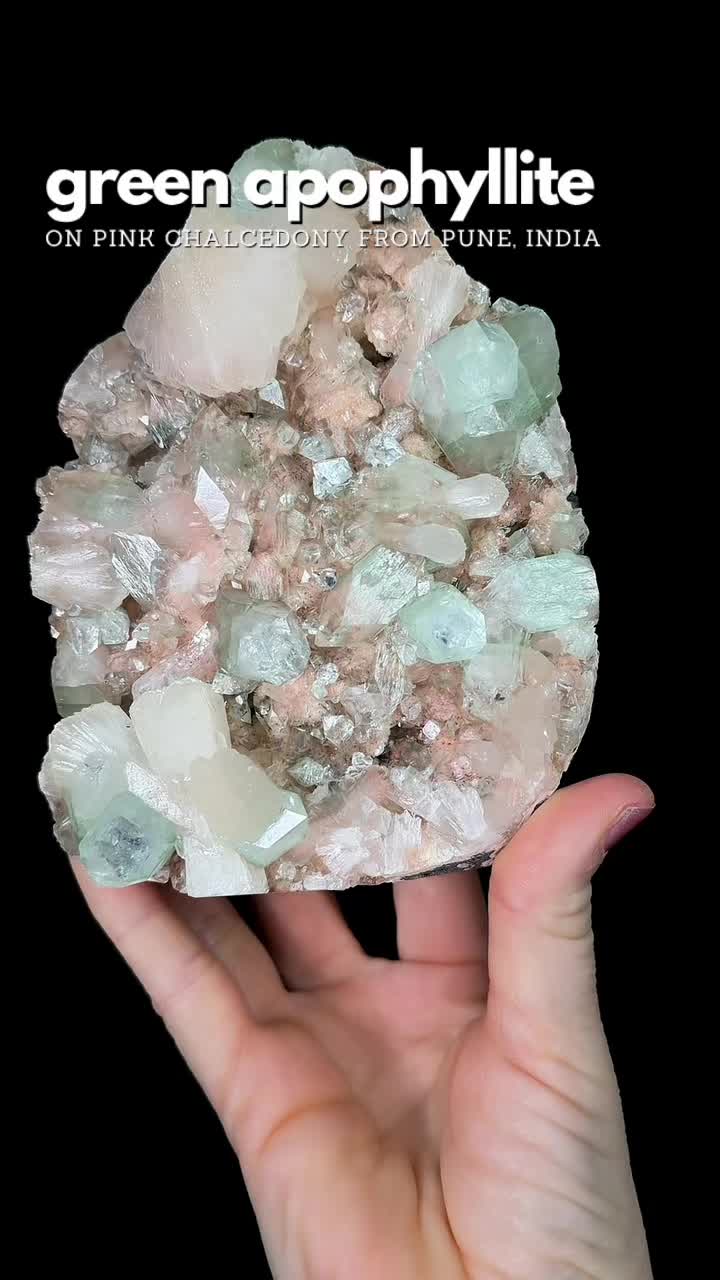 @Crystal Live Emporium✨Natalie