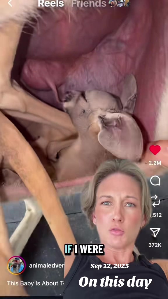 @SarahMakesMeLaugh