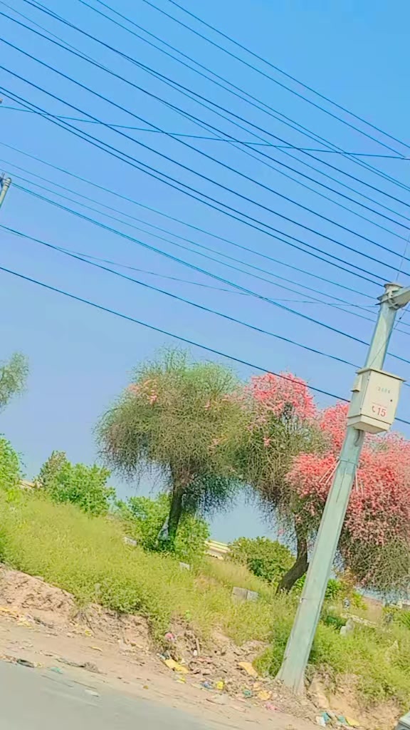 @๐โค๏ธda MOR peshoo ๐ฑ ๐ฑโค๏ธ