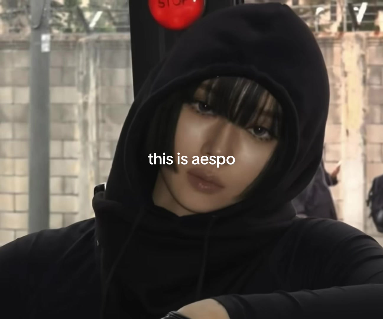 @SpiderMY