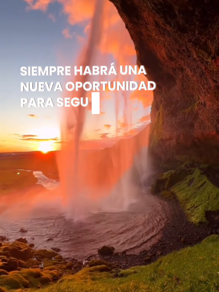 @erikcagarcia287