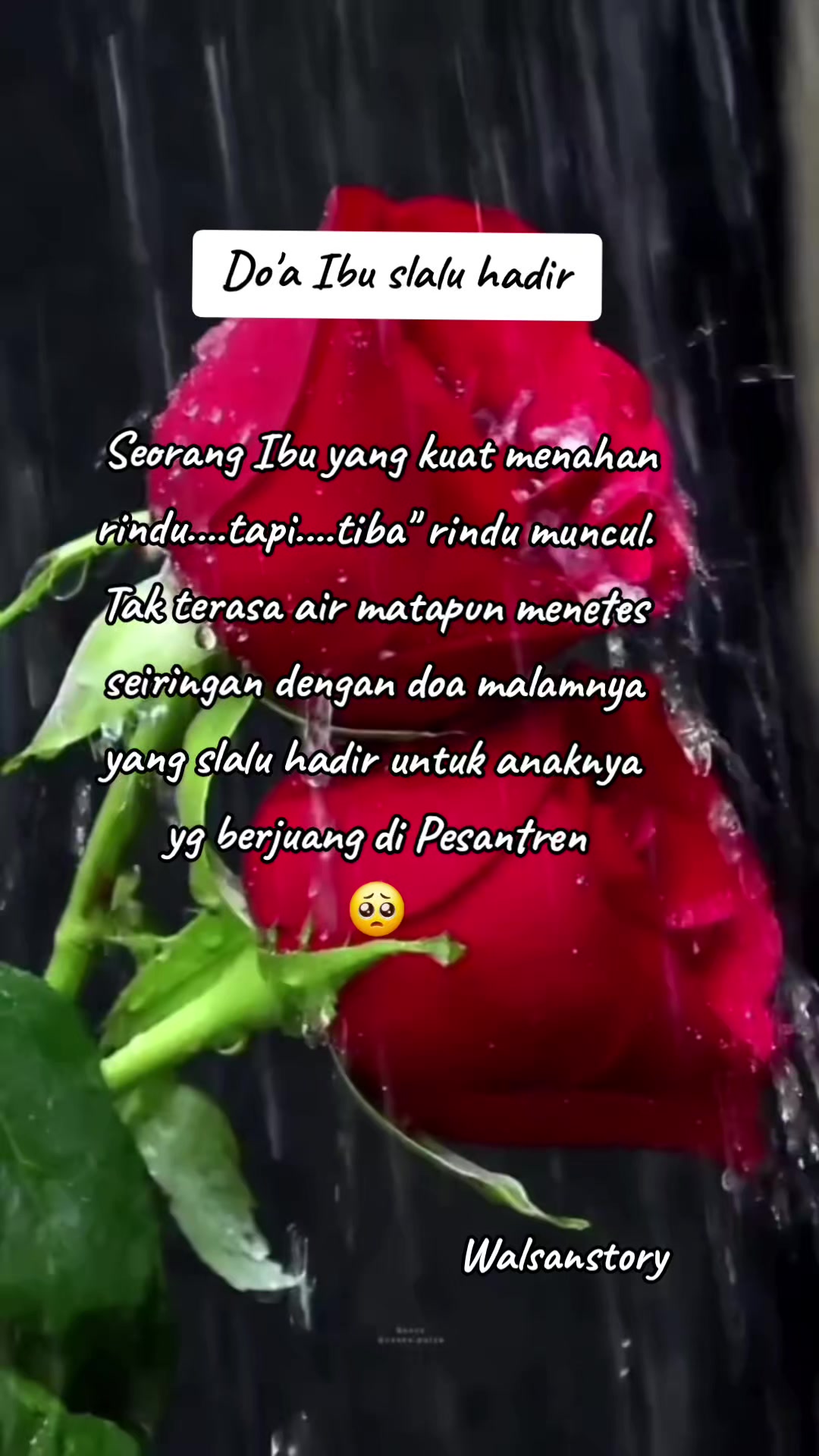 @WALSAN