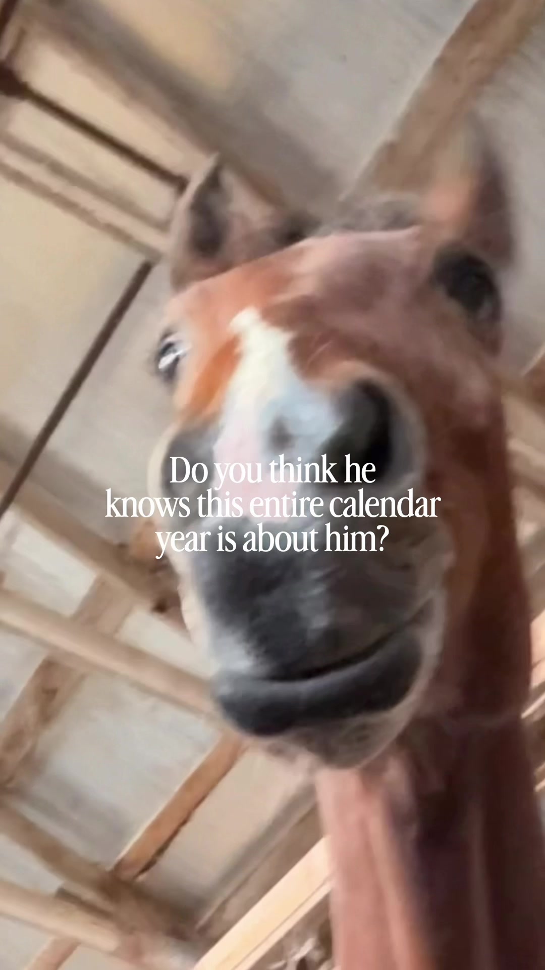 @Bethanie | Style & Horses๐ฅ