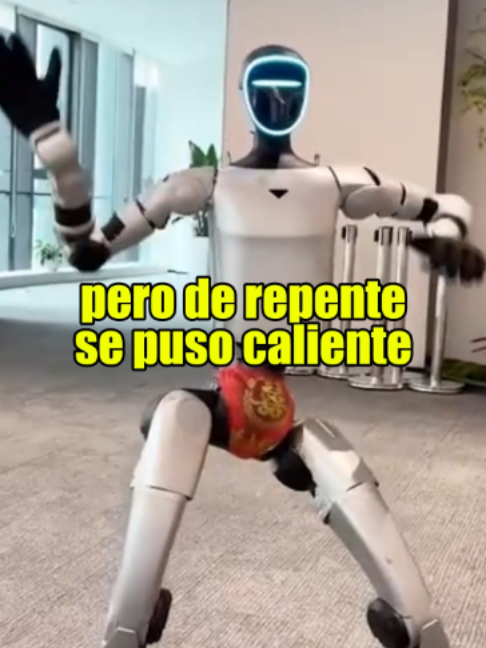 @MaidNews
