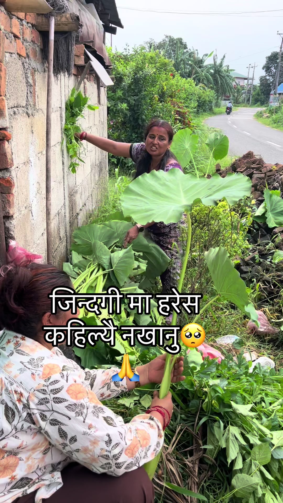 @Rachana