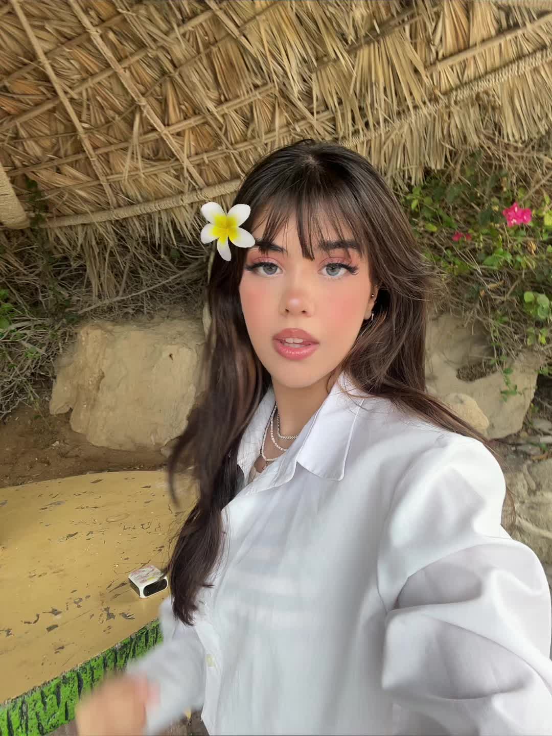 @parnianbahmei