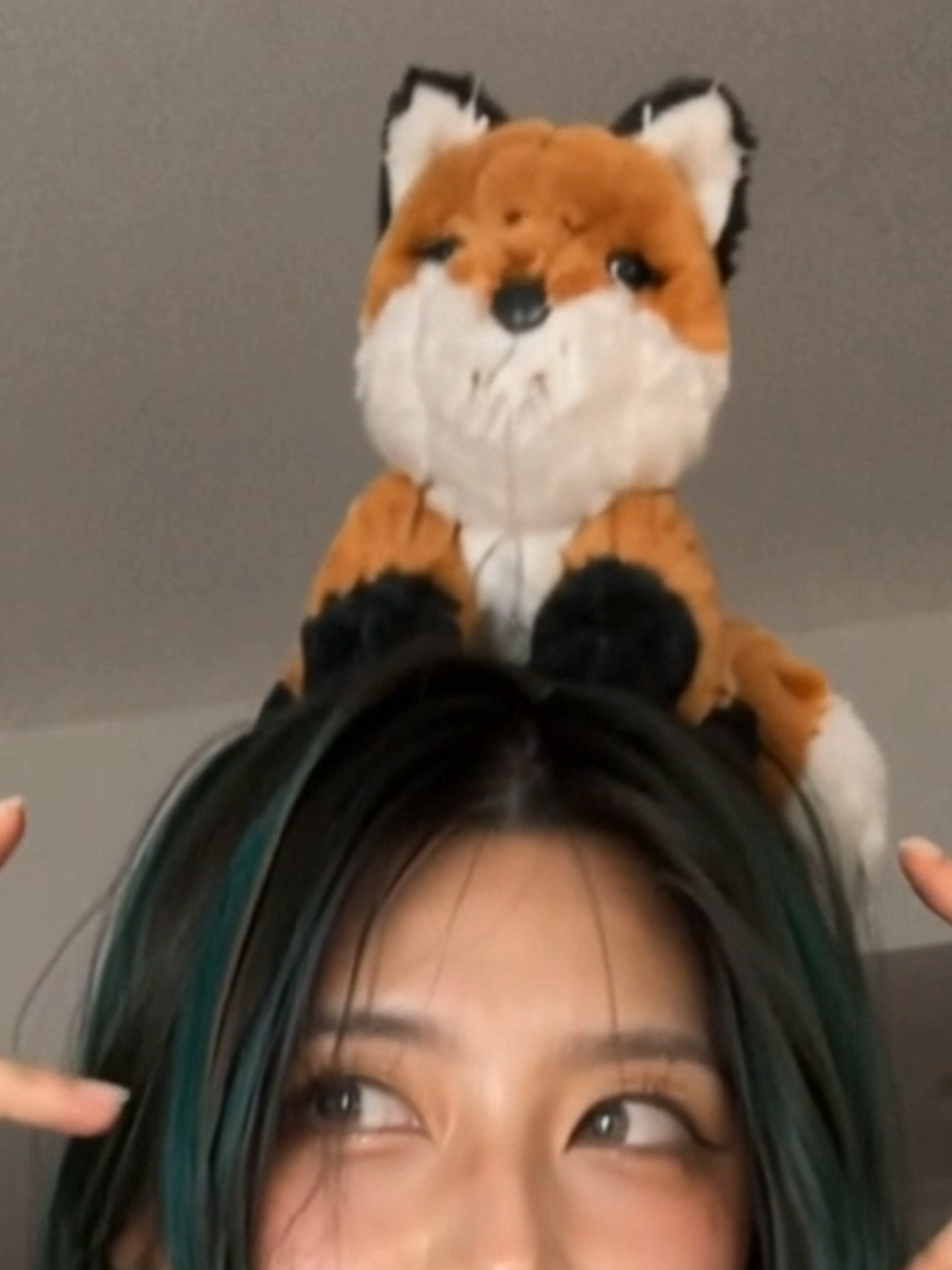 @朱麗華🦊