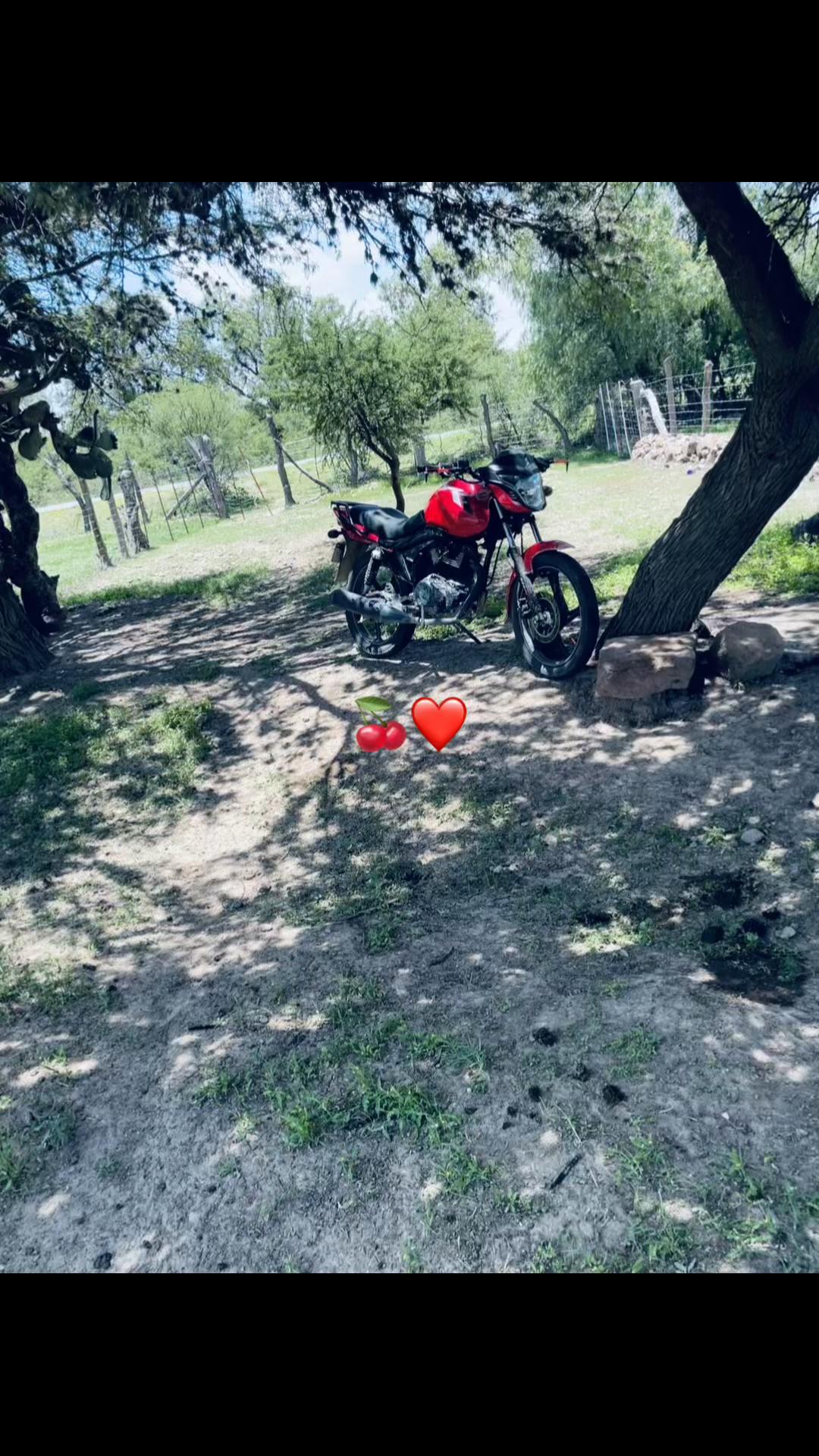 @La red demon👹