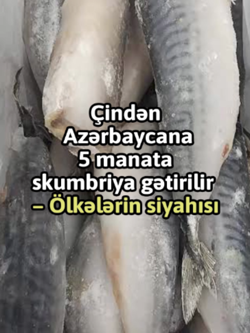 @yeniavaz.com