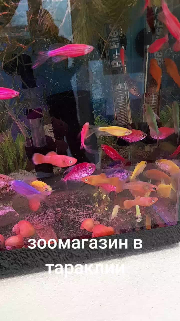 @Жужа