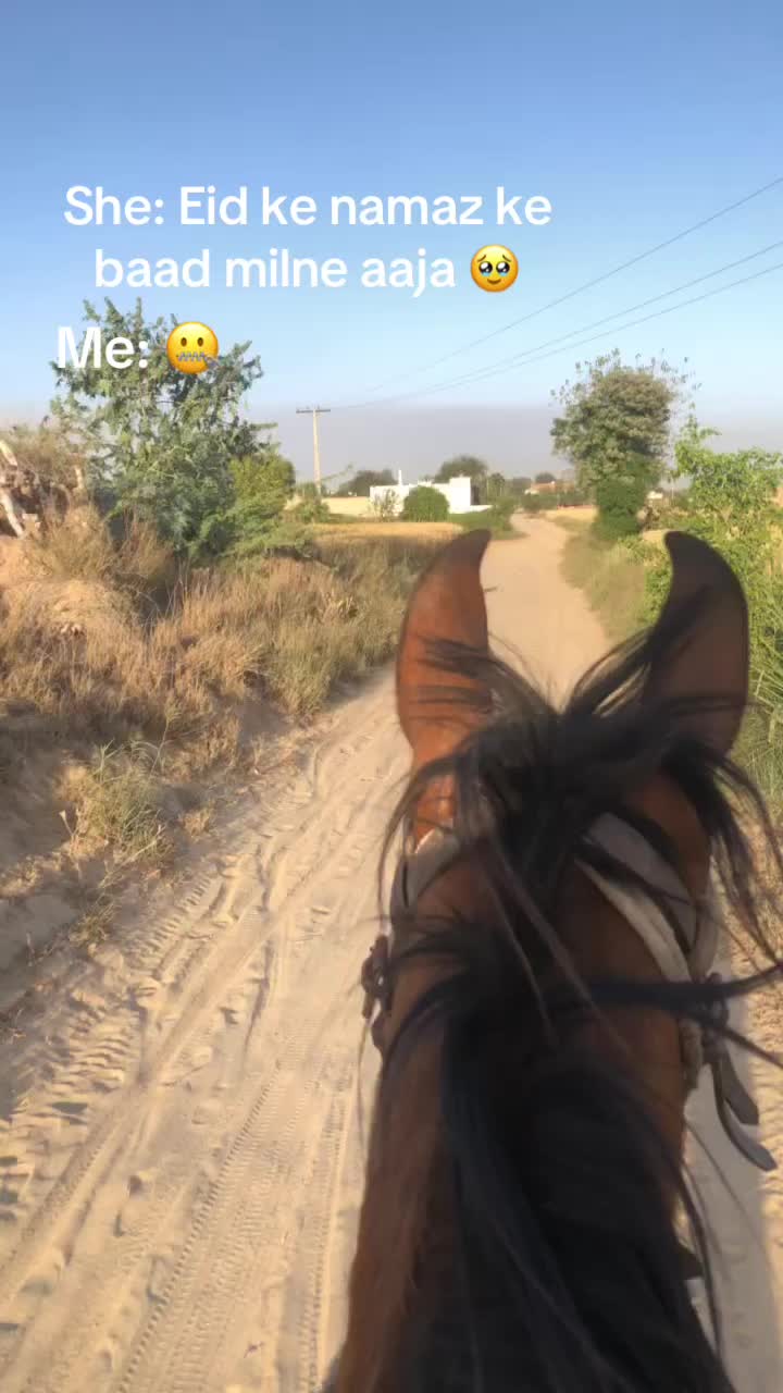 @taimoorasad07