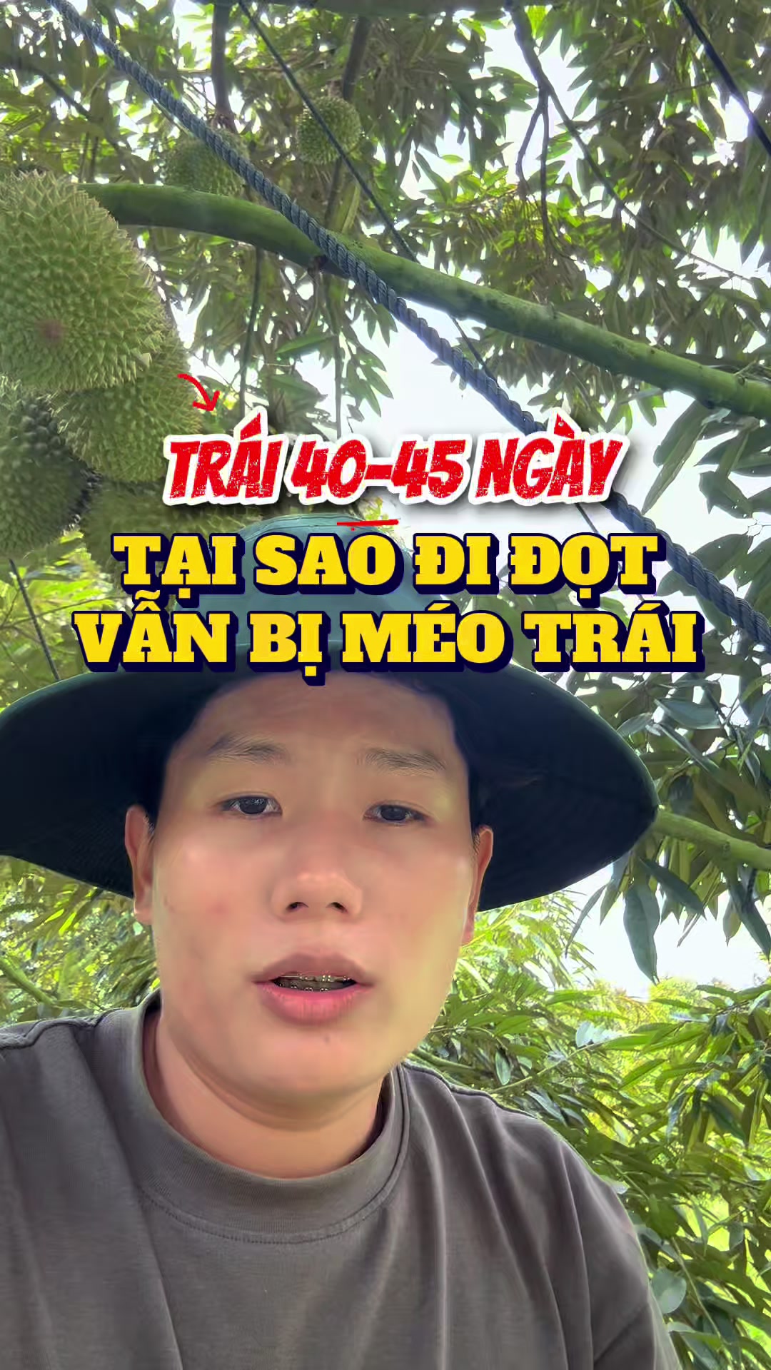 @Hưng Farm - Store