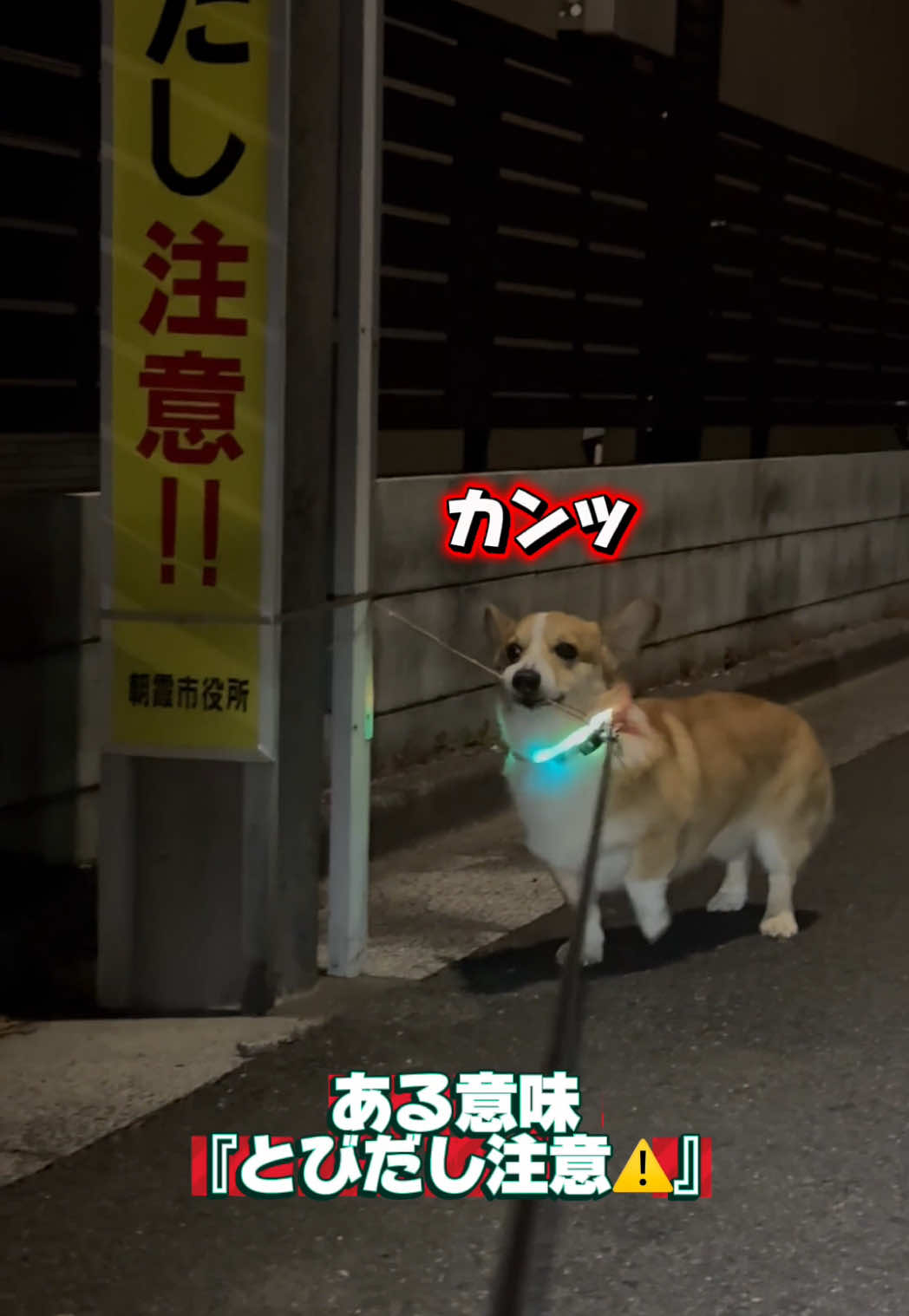@トロン
