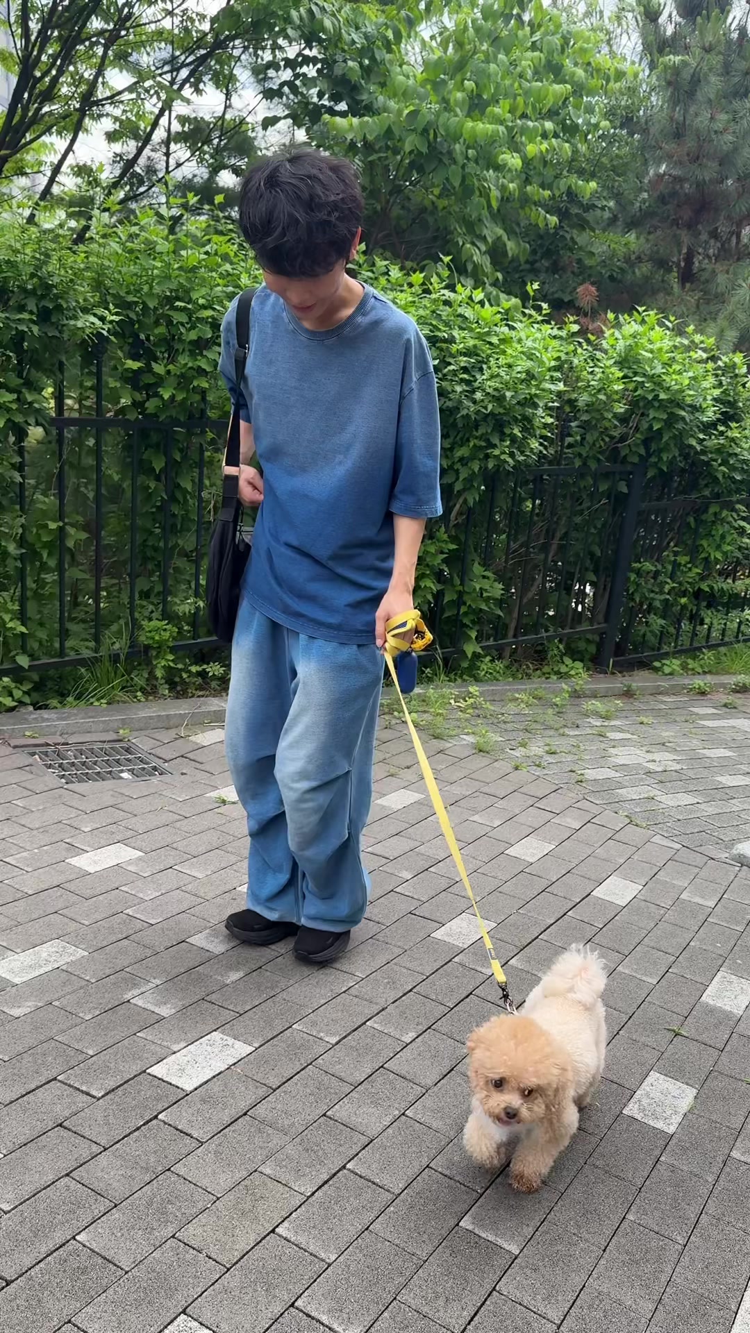 @원샷한솔🐶