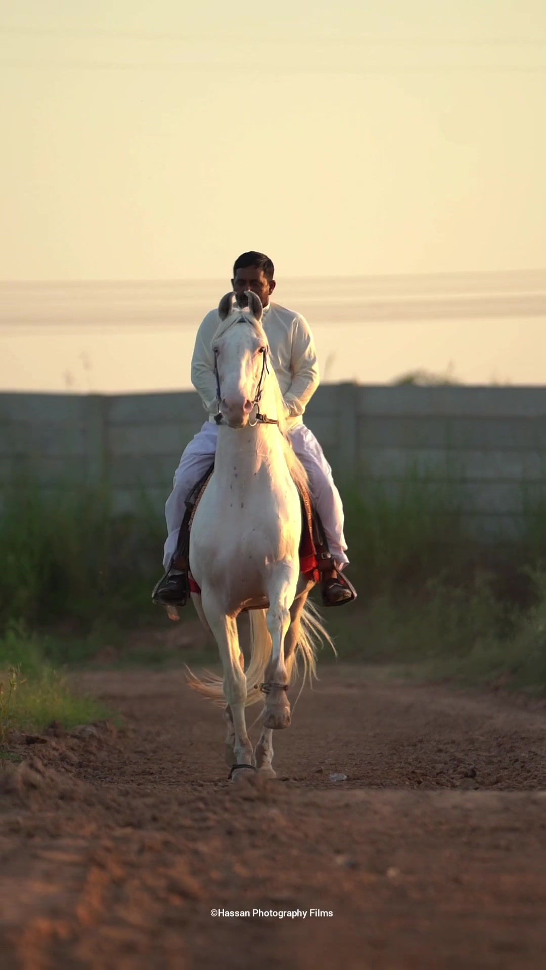 @SUNRISE STUD FARMS RAWALPINDI