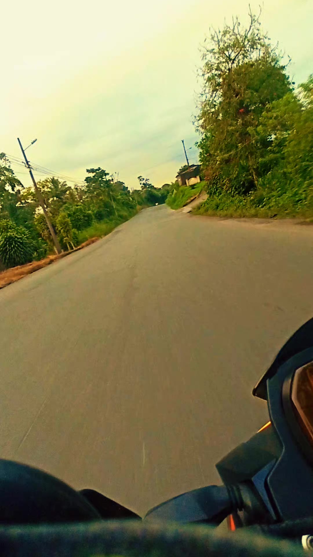 @Miny Rovin