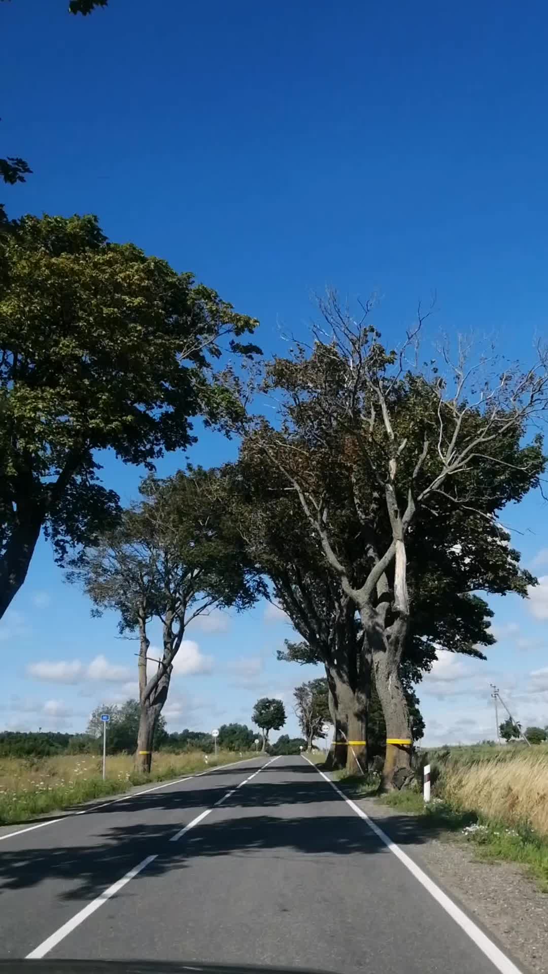 @Татьяна