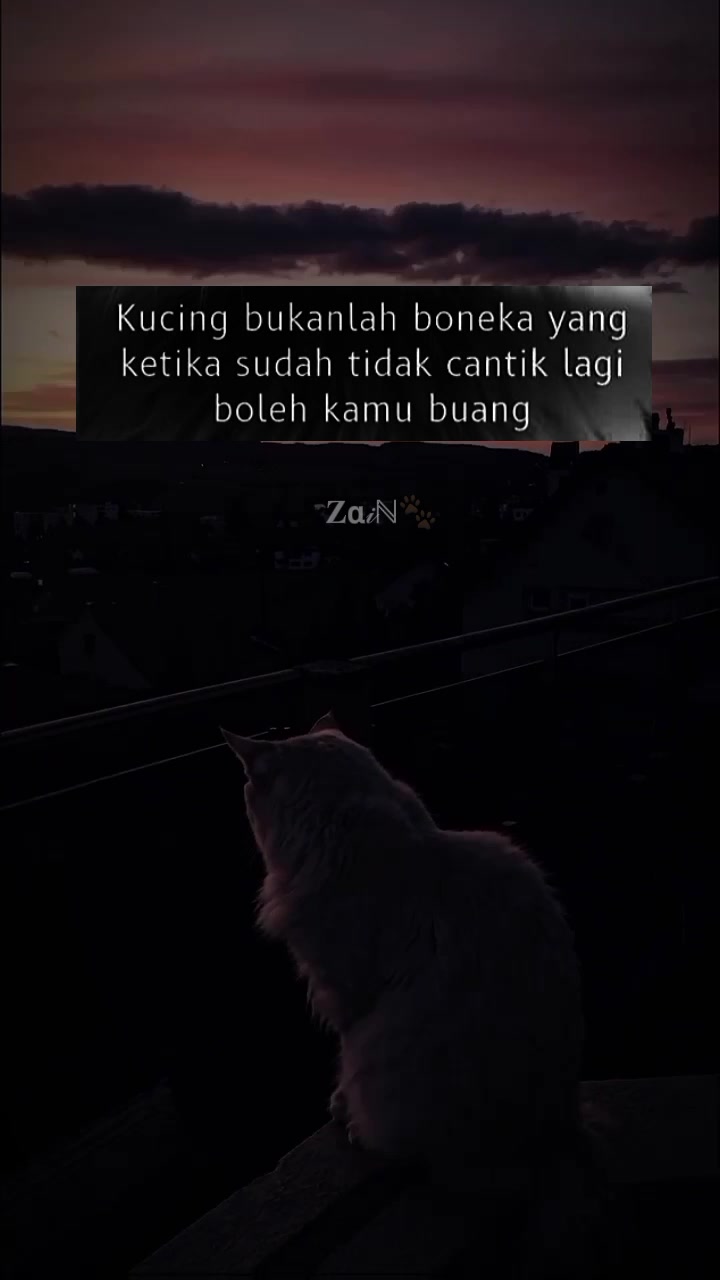 @๐α๐พโ๐พ