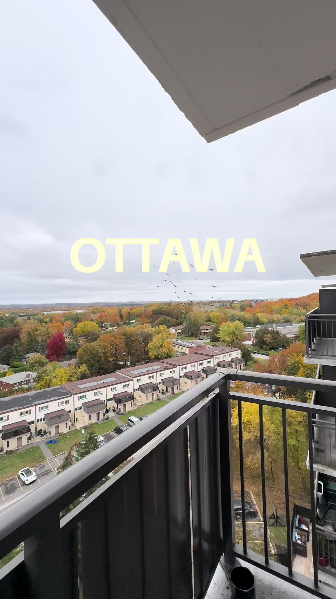 @🏡✨RENTALS IN OTTAWA