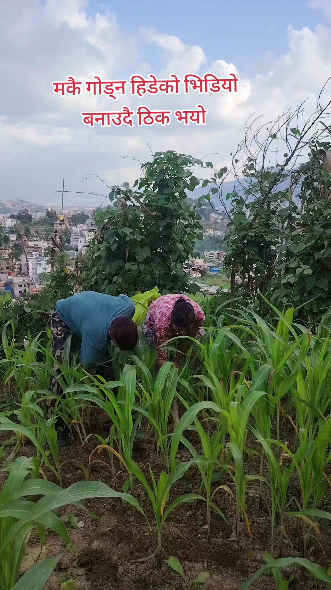 @अधिकारी लक्ष्मी