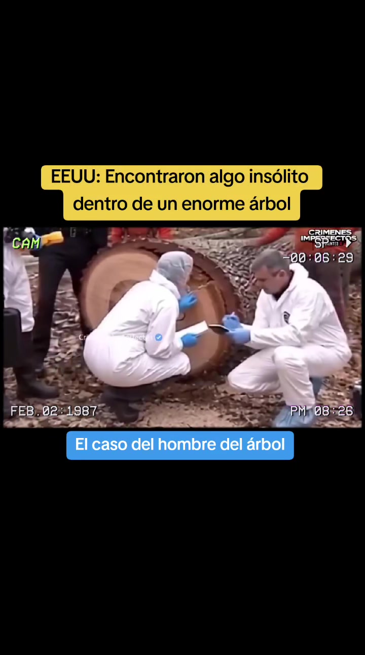 @Alejo Reportero